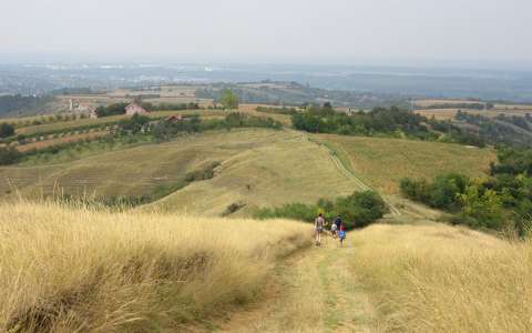 Szerbia, Fruška Gora