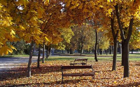 ősz, padok, park, Balatonalmádi, Magyarország