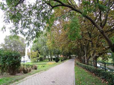 Ősz (Győr)