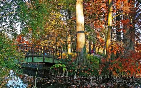 folyó híd ősz