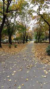 GyÅ‘r