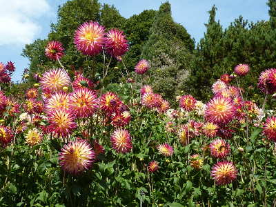 Mainau, Németország