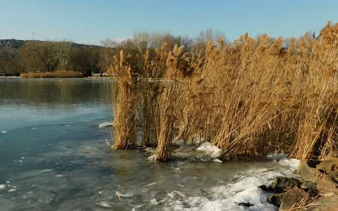 Balatonalmádi, tél, jég, nádas, Magyarország