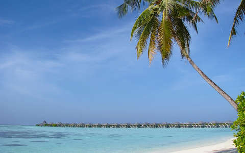 Maldív szigetek