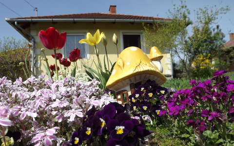 ház kertek és parkok tavasz tavaszi virág