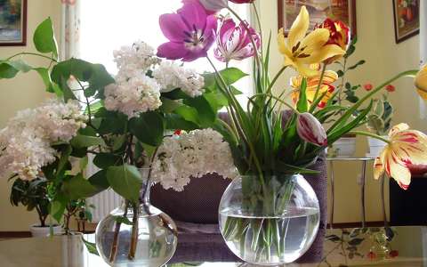 orgona tavaszi virág tulipán virágcsokor és dekoráció