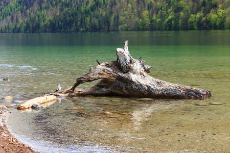 Németország, Königssee