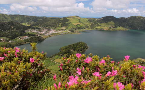 azori-szigetek címlapfotó portugália rododendron