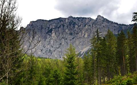 alpok ausztria hegy