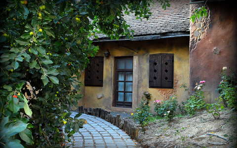 ház