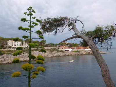 Veli Losinj