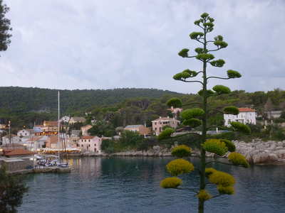 Veli Losinj