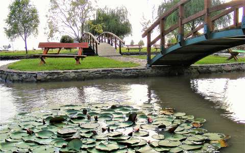 híd kertek és parkok pad tavirózsa