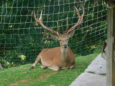 Kelet Tirol vadas park