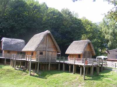 Ledro t