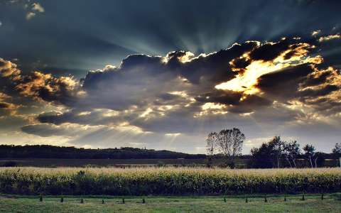 címlapfotó felhő fény kukoricaföld