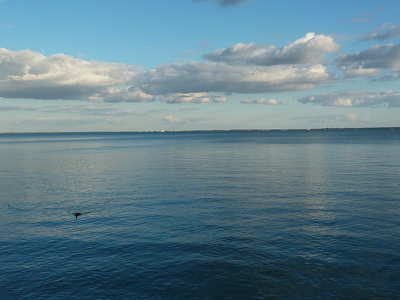 Balaton