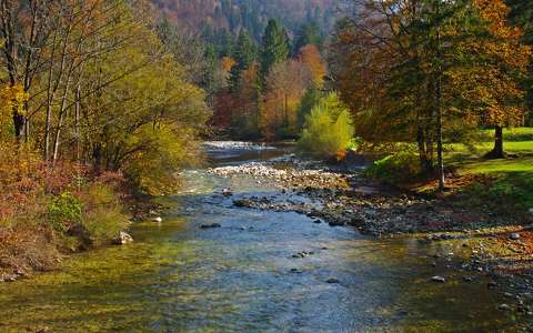 alpok erdő folyó szlovénia
