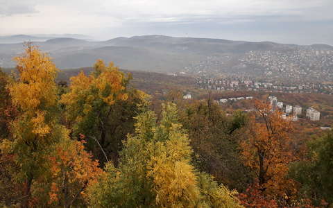 Ősz