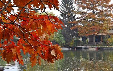 címlapfotó tó ősz