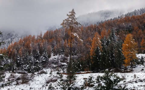címlapfotó erdő hegy tél