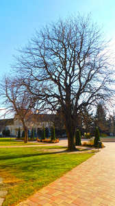 Csupaszon.