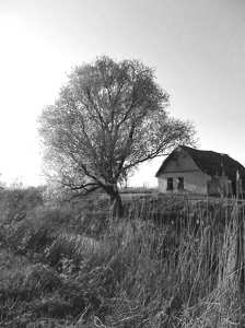 Black and White