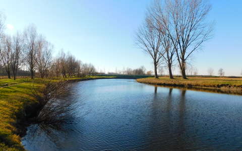 Lófürdő.