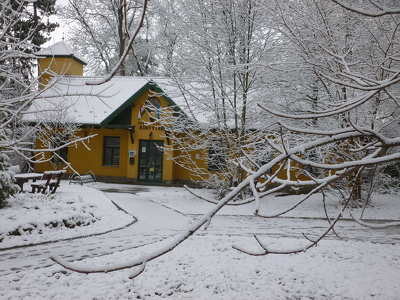 Könyvtár, Leányfalu