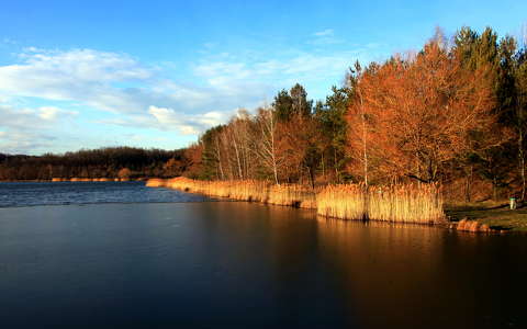 tó ősz