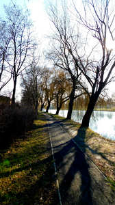 Libasorban.
