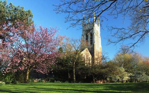 anglia tavasz templom virágzó fa