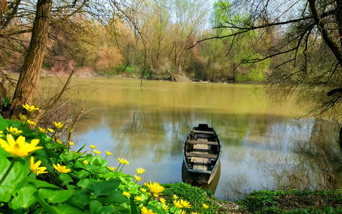 csónak, folyó, tavasz