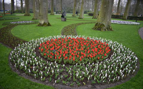 hollandia kertek és parkok keukenhof tavasz