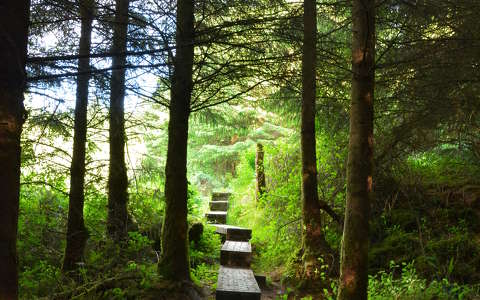 IRELAND