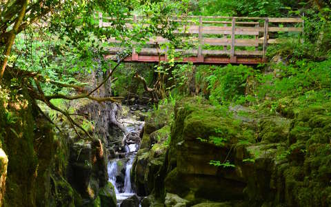 erdő híd vízesés írország
