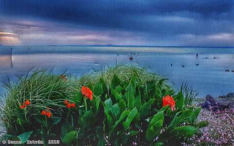 Virágos Balaton(györök)...