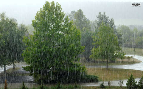 eső, nyár, magyarország
