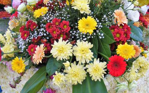 címlapfotó gerbera virágcsokor és dekoráció