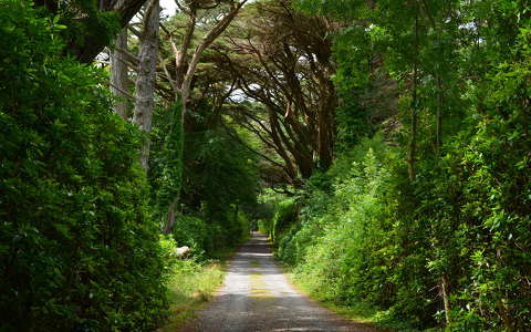 írország út