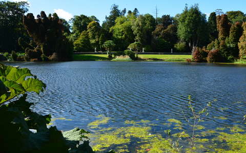 Johnstown Castle