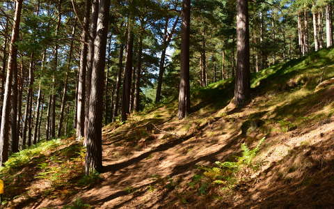 Glendalough