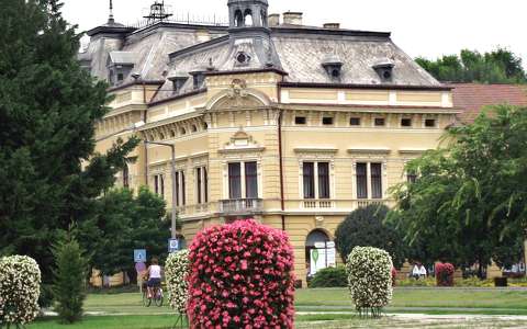 Szarvas. Fotó: Csonki