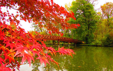 Tó, híd, ősz