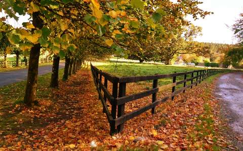 kerítés írország út ősz
