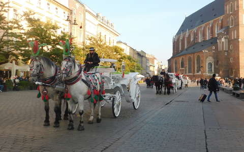 hintó lengyelország lovak