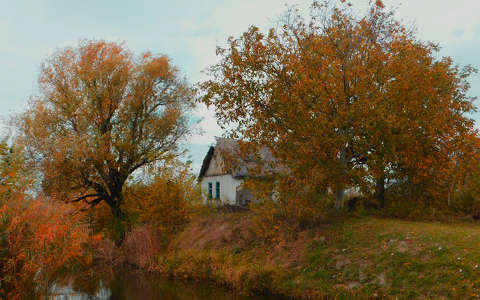 címlapfotó fa ház ősz