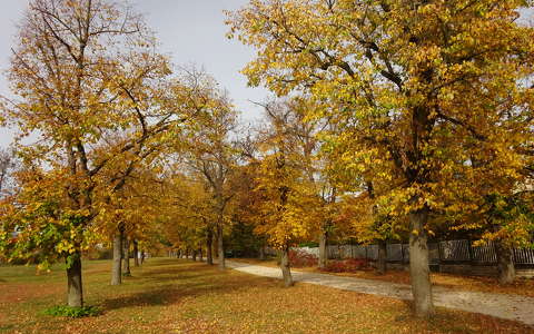 Balatonakarattya, Magaspart, ősz.