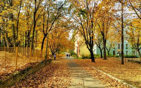 Aranyló ősz / Pécs