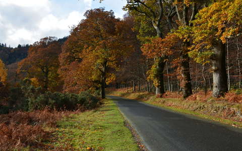 írország út ősz